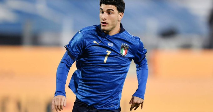 张本智和组 张本智和组