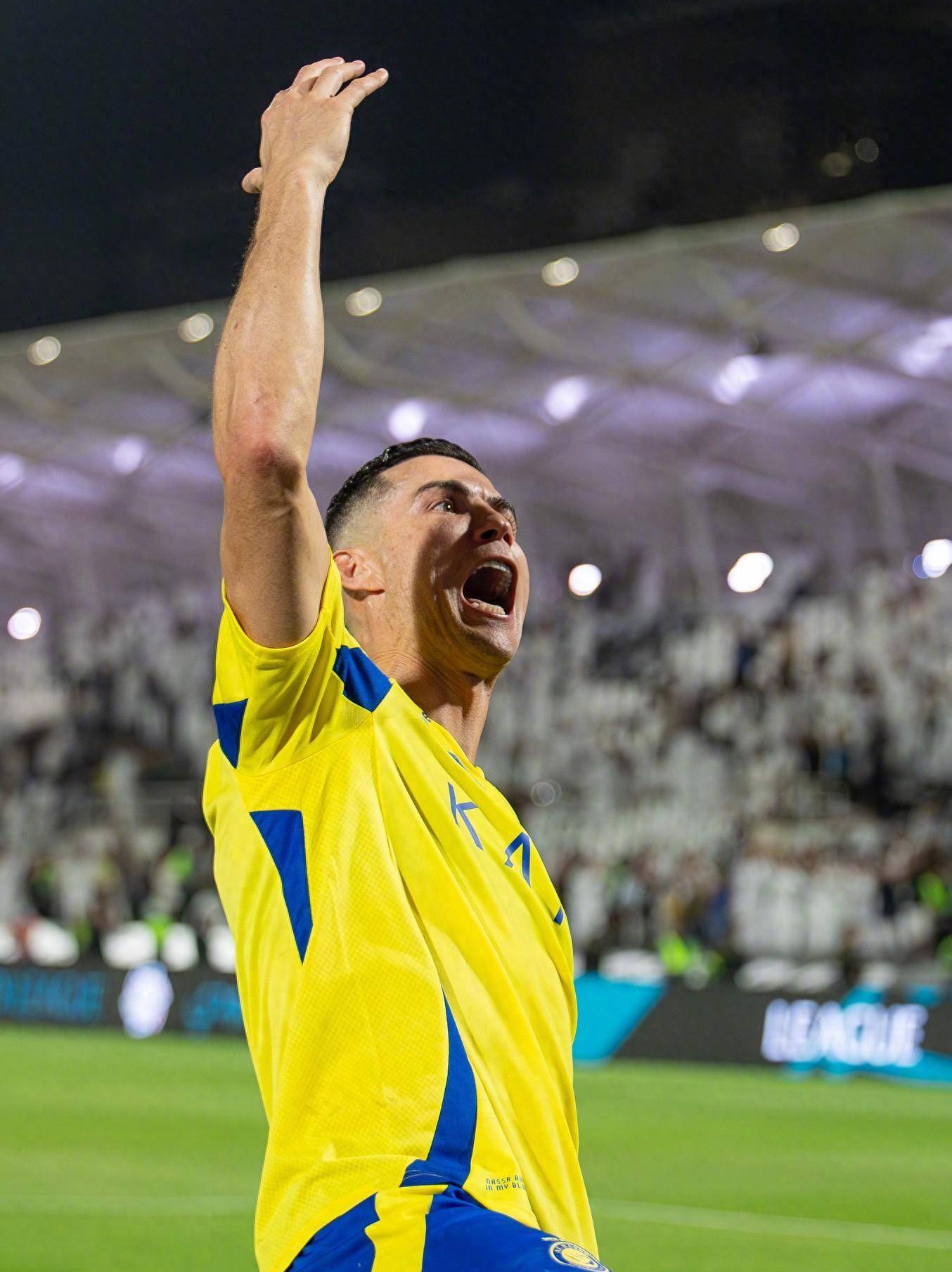 哈维的领导 哈维的领导