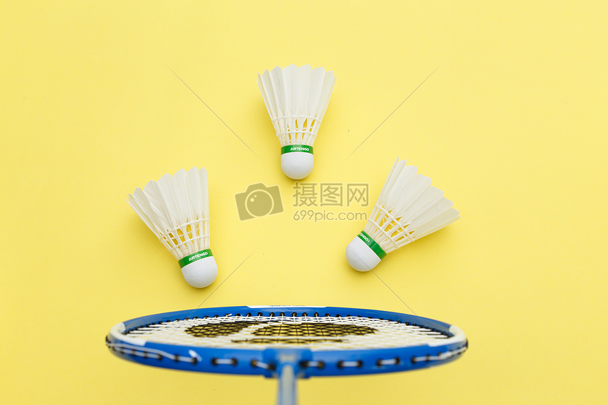 更凸显了她 更凸显了她