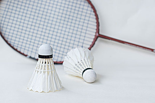 更是德甲中 更是德甲中