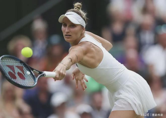 回顾阿尔马 回顾阿尔马